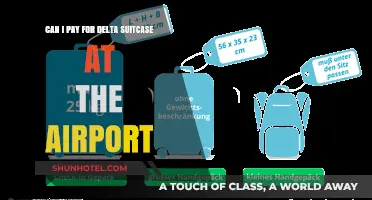 Delta Suitcase Fees: Pay at the Airport?