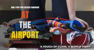 Excess Baggage: Pay at the Airport?