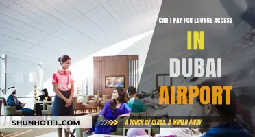 Dubai Airport Lounge Access: Can I Pay for It?