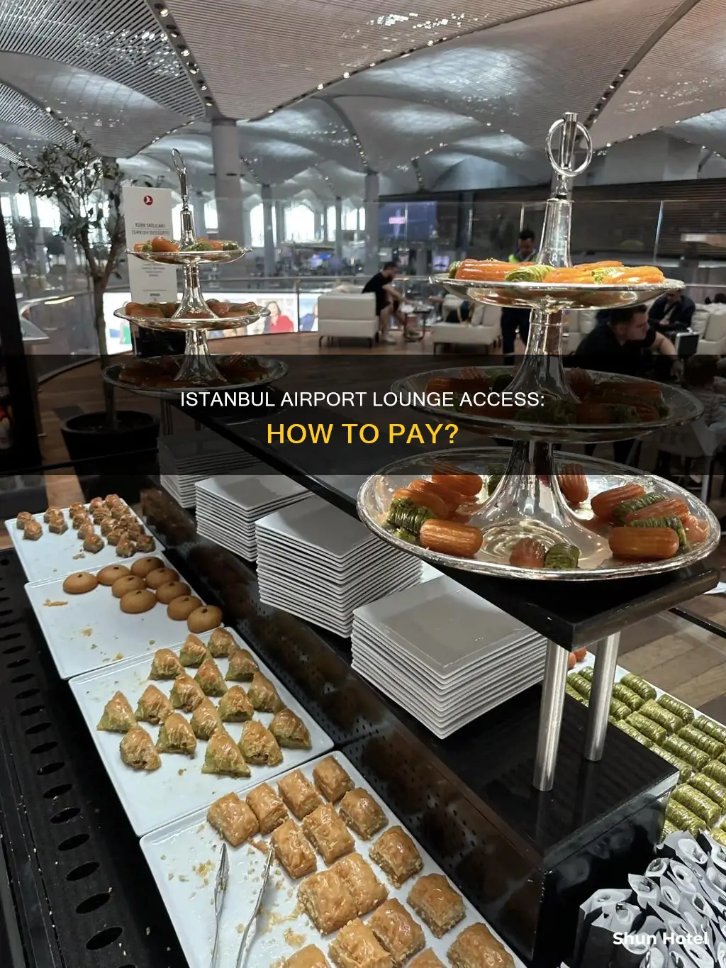 can i pay for lounge in istanbul airport