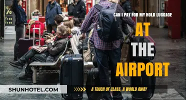 Last-Minute Hold Luggage Payment Options at Airports