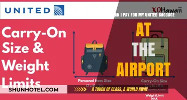 How to Pay for United Baggage at the Airport