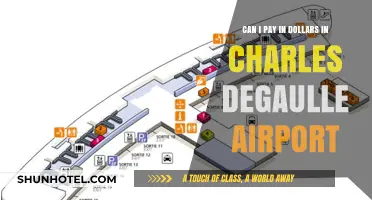 Dollars at Charles de Gaulle Airport: Accepted or Not?