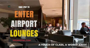 Exploring Paid Access to Airport Lounges
