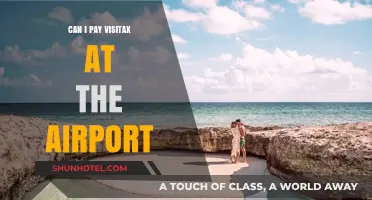 Paying Visitax: Airport Options