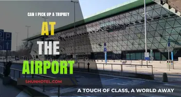 Tripkey Airport Pick-up: Is it Possible?