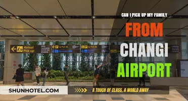 How to Pick Up Your Family at Changi Airport