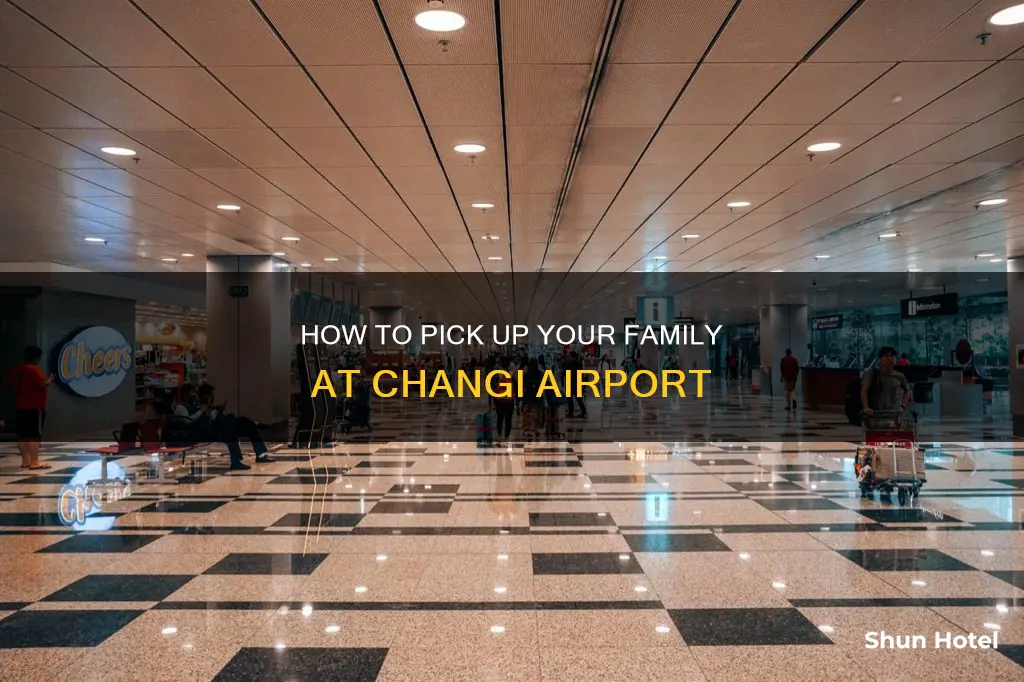 can i pick up my family from changi airport
