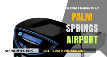Printing Boarding Passes: Palm Springs Airport Kiosks