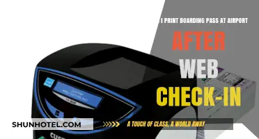 Airport Boarding Pass Printing: Post Web Check-In
