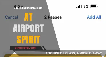 Printing Your Spirit Boarding Pass at the Airport