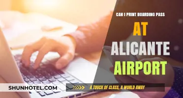 Printing Boarding Passes: Alicante Airport Kiosks