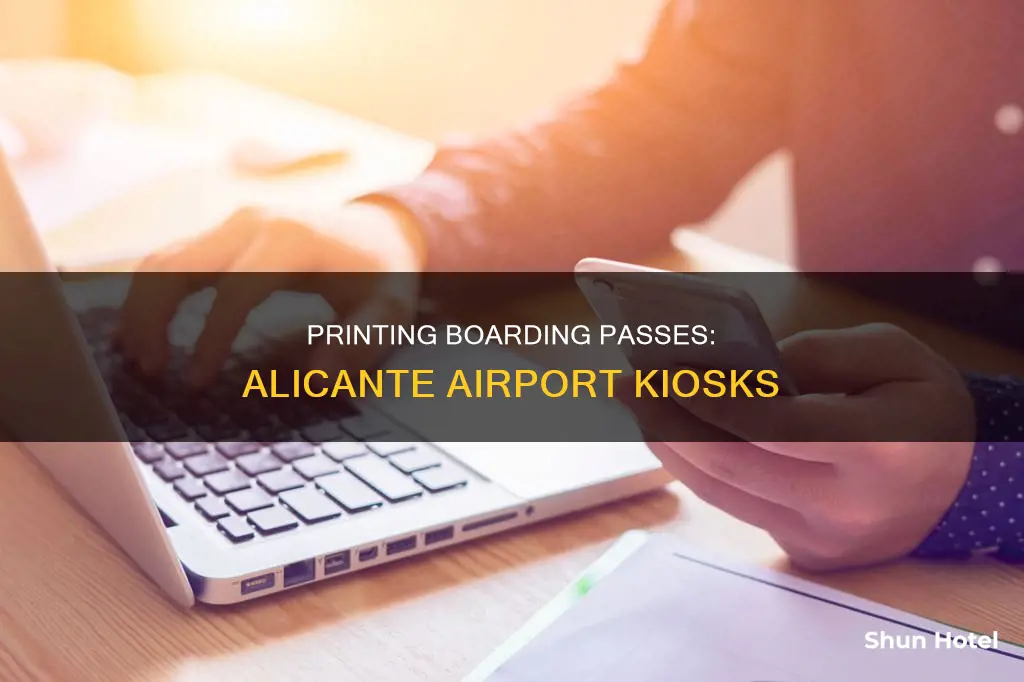 can i print boarding pass at alicante airport