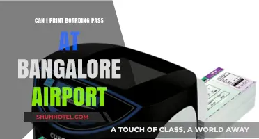 Print Boarding Pass: Bangalore Airport Kiosks to the Rescue
