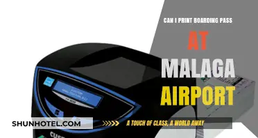 Printing Boarding Pass: Malaga Airport Options