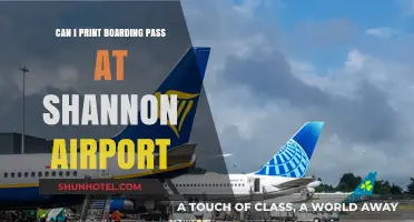Printing Your Boarding Pass at Shannon Airport