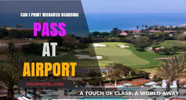 Printing Monarch Boarding Pass: Airport Options