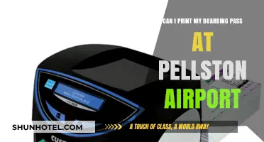 Printing Your Boarding Pass: Pellston Airport Options