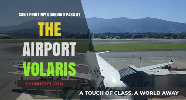 Volaris Airport Boarding Pass Printing Options