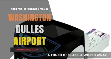 Printing Boarding Passes: Washington Dulles Airport Kiosks