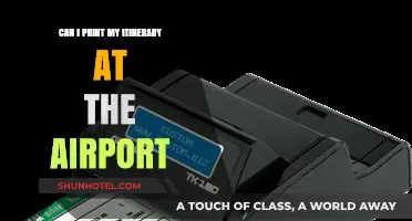 Printing Your Itinerary: Airport Kiosks to the Rescue