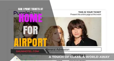Print Your Own Tickets at Home for Airport Travel
