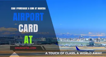 Sim Cards at Haneda: Where to Purchase?