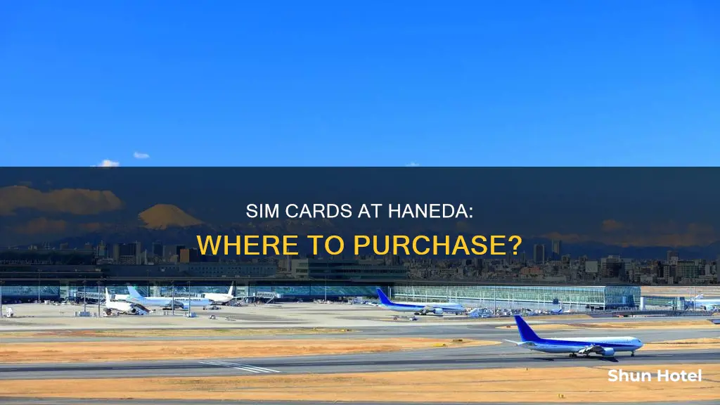 can i purchase a sim at haneda airport card at