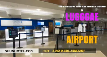 Purchasing Checked Luggage at the Airport: An American Airlines Guide