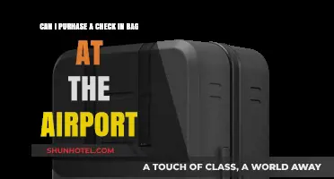 Last-Minute Checked Baggage: Buying at the Airport