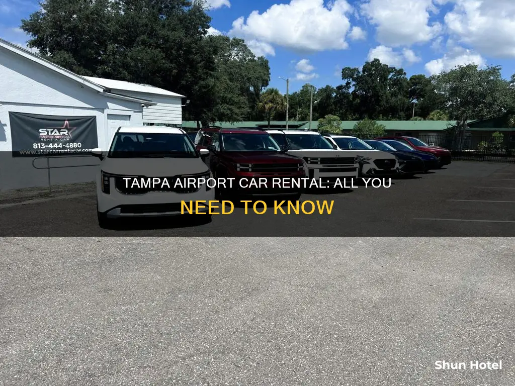 can i rent qa car in tmpa airport