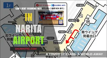 Renting Roaming Wi-Fi at Narita Airport: Is it Possible?