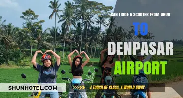 Scooting to the Airport: Ubud to Denpasar by Scooter