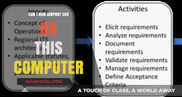 Airport CEO: Can Your Computer Run It?