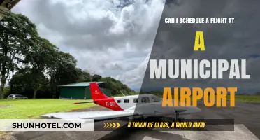 Municipal Airport Flights: Scheduling and Booking Insights
