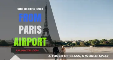 Spotting the Eiffel Tower from Paris Airports