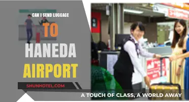 Haneda Airport: Sending Luggage Ahead