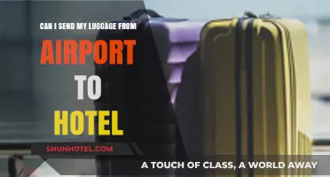 Luggage Delivery: Airport to Hotel