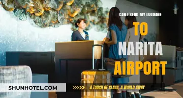 Luggage Delivery to Narita Airport: How and When?