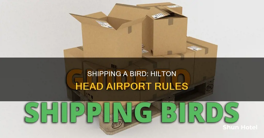 can i ship a bird to hilton headd airport