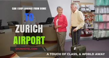 Shipping Luggage: Rome to Zurich Airport