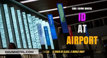 Digital IDs: A Valid Option for Air Travel?