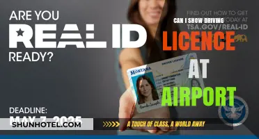 Airport Security: Driving Licence as ID?