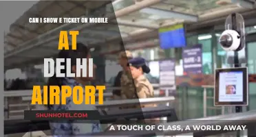 Delhi Airport E-Ticket Rules: Mobile Display Allowed?