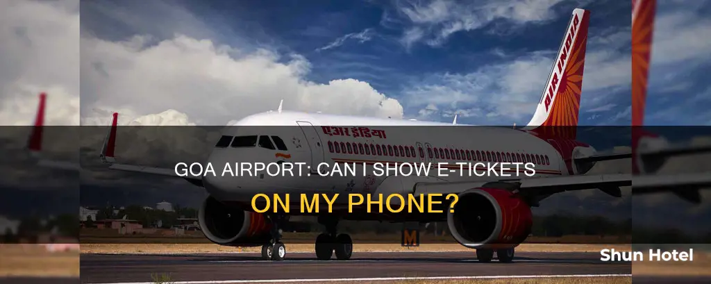 can i show e ticket on mobile at goa airport