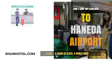 Shipping Luggage to Haneda: What You Need to Know