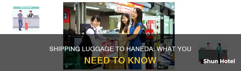 can i sihp my luggage to haneda airport
