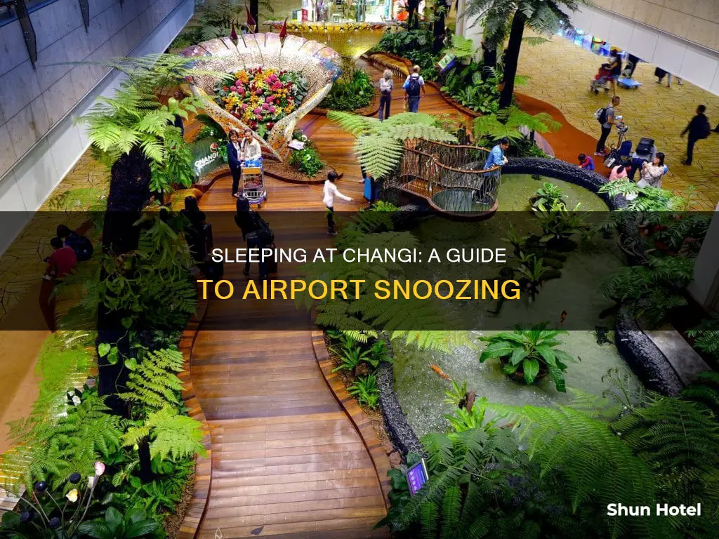 can i sleep at changi airport