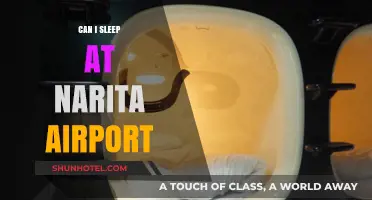 Sleeping at Narita Airport: A Comfortable Option?