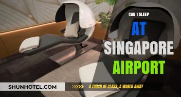 Singapore Airport: A Place to Sleep?